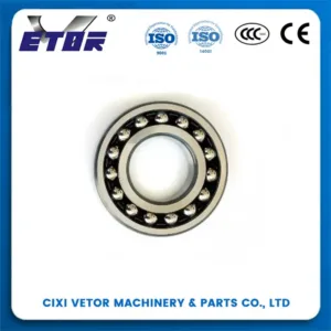 The 1200 Self-Aligning Ball Bearing