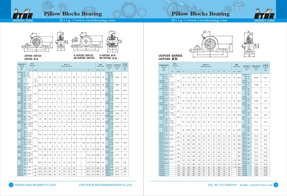 Pillow Block Bearing (1)
