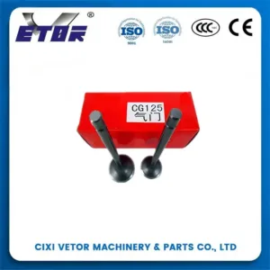 CG-125 motorcycle valve-2
