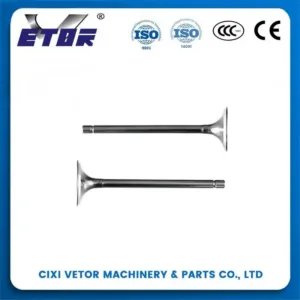 CD70 motorcycle valve-1