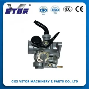 Motorcycle Carburetor PZ19 for DY100,100CC-110CC