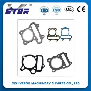 High-quality 110CC Gasket Sealing Protection for Engine Rebuild