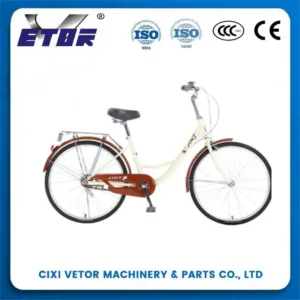 RC100 20-inch aluminum alloy oil brake 20-speed mountain bike