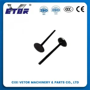 GY6-125 motorcycle valve